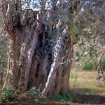 别墅 Marina, βίλλα μαρίνα Miléai