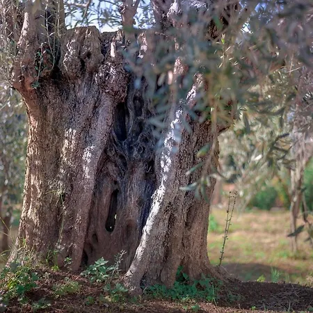 Villa Marina, βίλλα μαρίνα Miléai