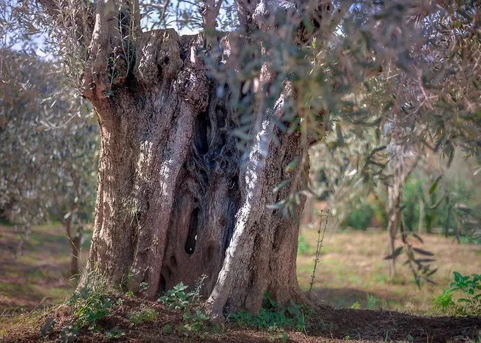 Villa Marina, βίλλα μαρίνα Miléai